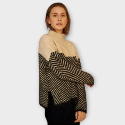 Castorini™ | Soft Turtleneck Sweater